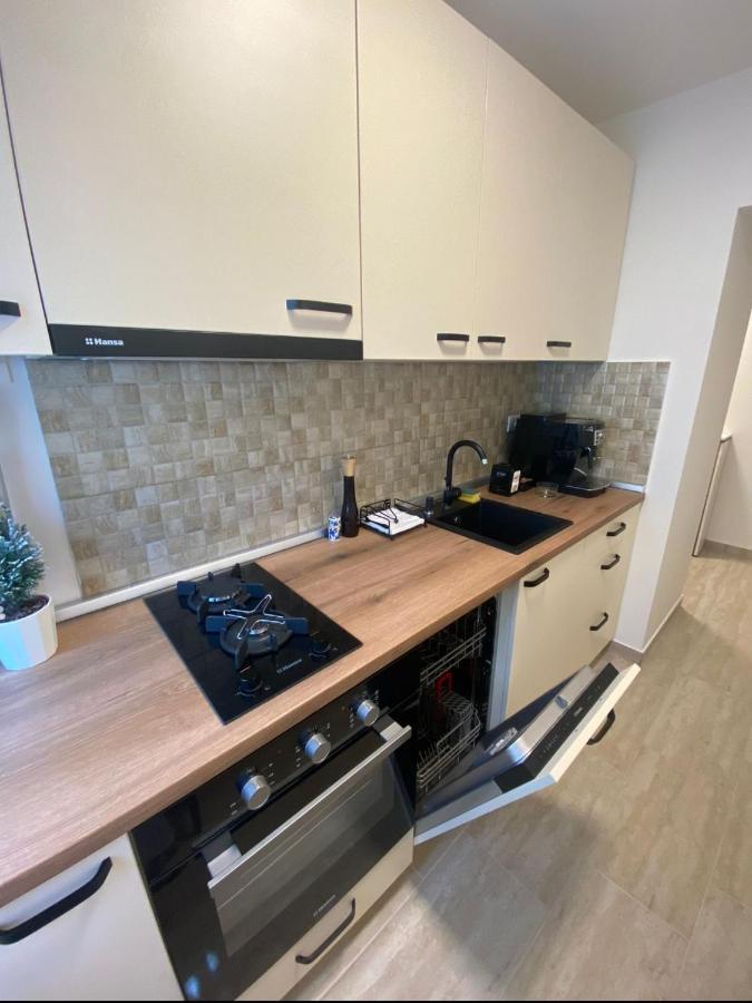 Apartamentul Gaviota Timişoara Exterior foto