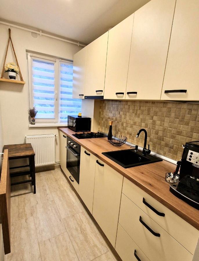 Apartamentul Gaviota Timişoara Exterior foto